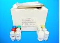 Carboxylated Osteocalcin ELISA Kit (cOC), Human