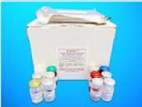 Cytosolic Fe-S cluster assembly factor NUBP2 (NUBP2) ELISA Kit, Human