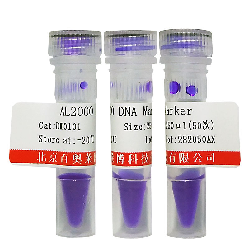 2×BaldStar Taq MasterMix(含染料) 核酸扩增(PCR)