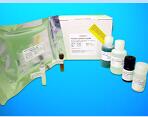Dextro-lactic acid ELISA Kit (D-La), Human