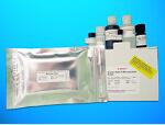 Dehydroepiandrosterone sulfate ELISA Kit (DEHA-S), Human