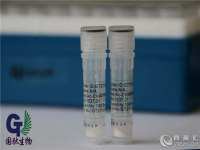 HIV-1 TAT Protein Peptide/透膜多肽