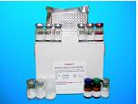 Fatty-acid amide hydrolase 1 (FAAH) ELISA Kit, Human