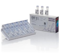 LIVE/DEAD® Aqua可固定死细胞染色试剂盒 货号L34957