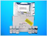 Eukaryotic Translation Initiation Factor 3A ELISA Kit (EIF3A), Human