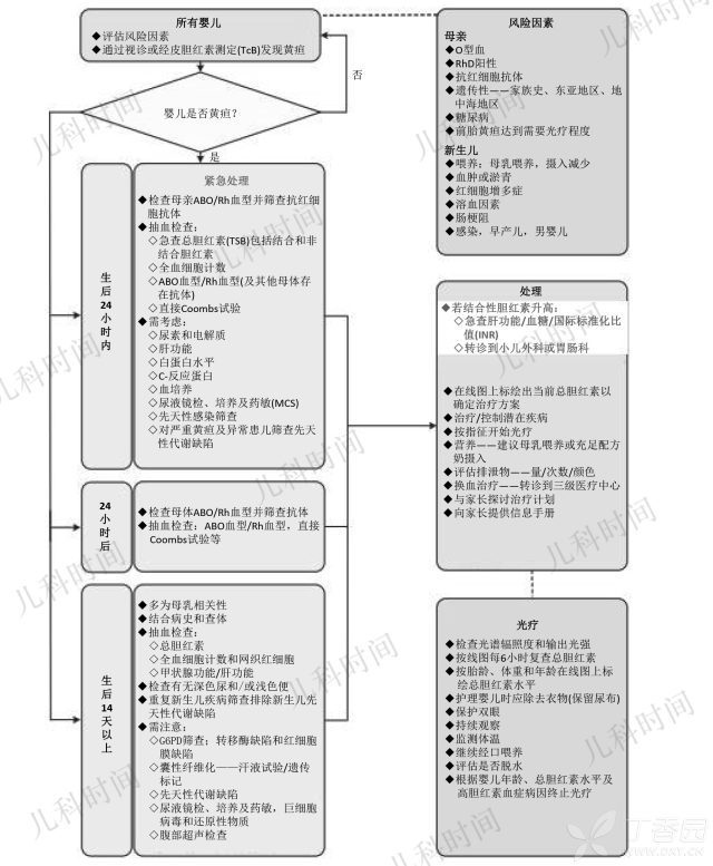 昆士兰指南:新生儿黄疸诊治流程图