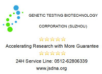 STR细胞鉴定服务