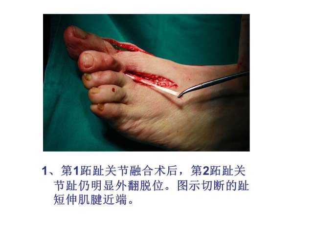 幻灯片12.JPG