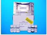 Isocitrate dehydrogenase ELISA Kit (ICD), Human