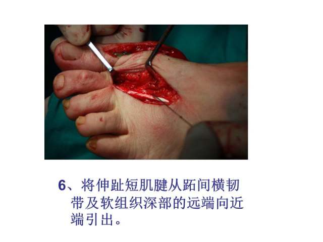幻灯片17.JPG