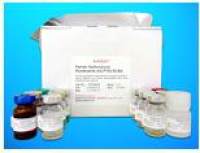 Leucine-rich alpha-2 glycoprotein 1 ELISA Kit (LRG1), Human