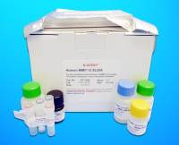 Glutathione Reductase ELISA Kit (GR), Human