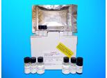 Isocite dehydrogenase [NAD] subunit beta, mitochondrial (IDH3B) ELISA Kit, Human