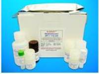 Lactose ELISA Kit, Human