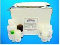 Hydrocortisone ELISA Kit, Human