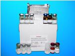 Lactate Dehydrogenase ELISA Kit (LDH), Human