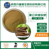 SC工厂保健食品备案生产商 蒲公英提取物 大量现货批发包邮