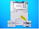 Heparin ELISA Kit, Human