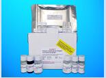 Optineurin ELISA Kit (OPTN), Human
