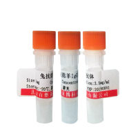 北京促销MIER2抗体价格