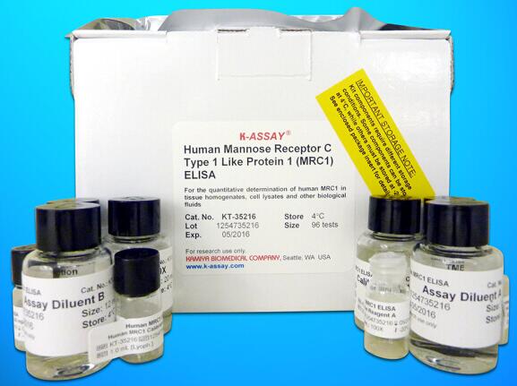 Matrix Metalloproteinase 9 ELISA Kit, Human