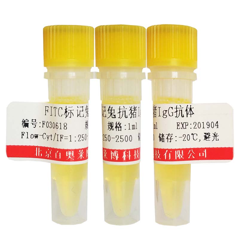 北京磷酸化LATS2 (Ser83)抗体现货价格