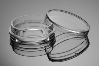 NEST 35mm玻底培养皿 φ20mm 801001