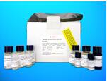 Peroxisome Proliferators Activated Receptor Gamma2 ELISA Kit (PPARGamma2), Human