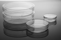 NEST 100mm细胞培养皿（5个装）TC 704004