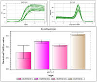 实时荧光定量PCR 技术服务