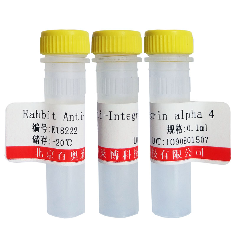 北京NLRP13抗体现货