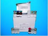 Methionine-R-sulfoxide reductase B1 (SEPX1) ELISA Kit, Human