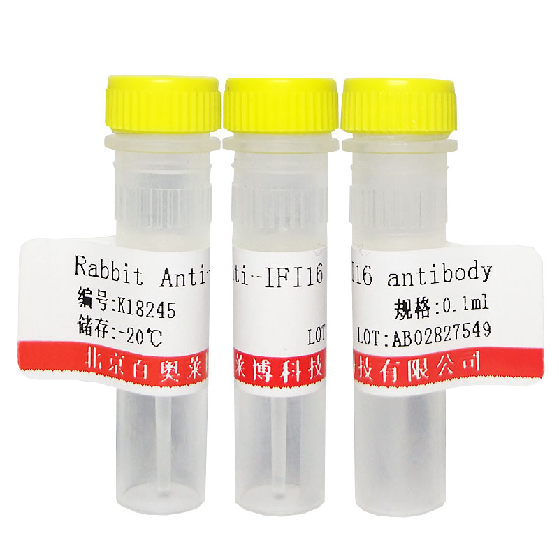 IFN-Alpha抗体(国产,进口)