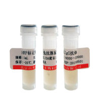 北京现货Neurexin IIα抗体打折促销