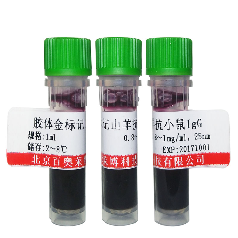 北京现货RPS6KL1抗体促销