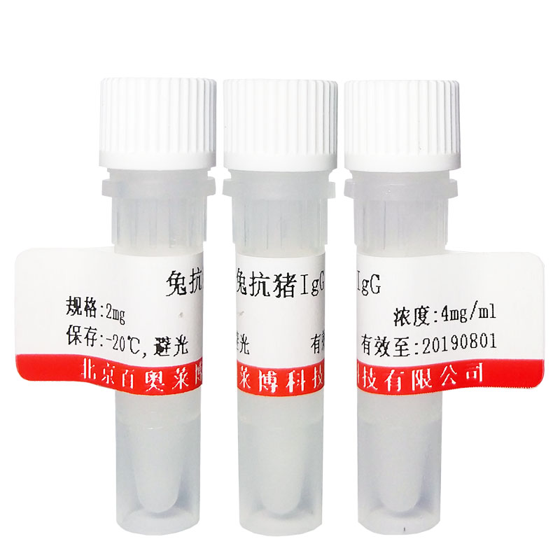 北京毒蕈碱型乙酰胆碱受体M1抗体多少钱