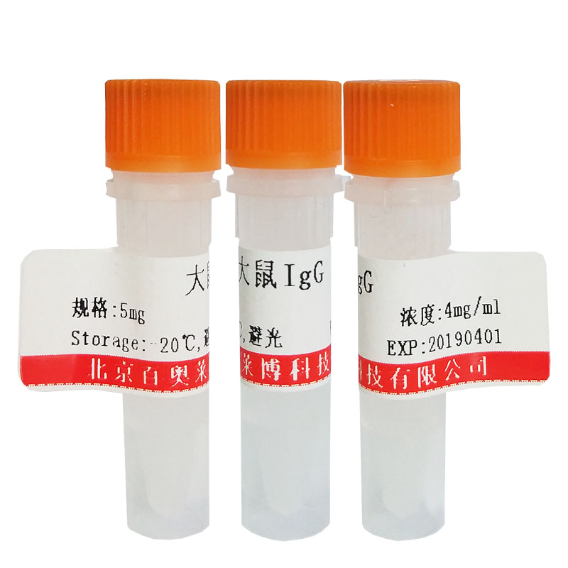 北京现货K18159型HIF-1 Alpha抗体促销