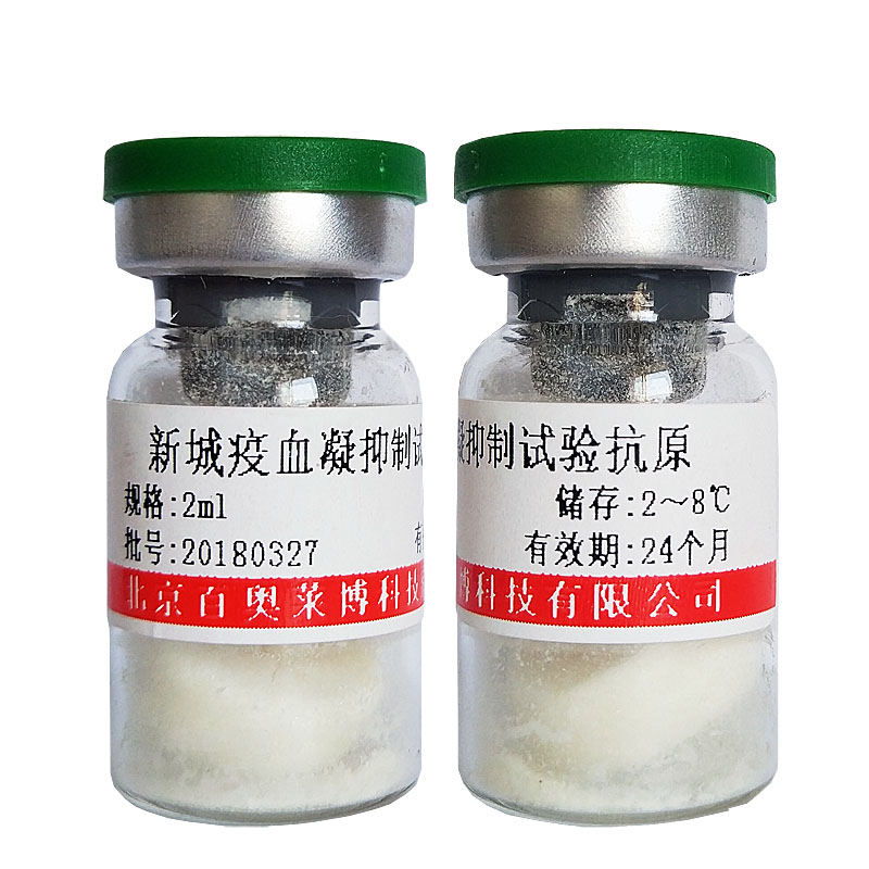 北京现货磷酸化HSF1 (Ser303)抗体优惠价
