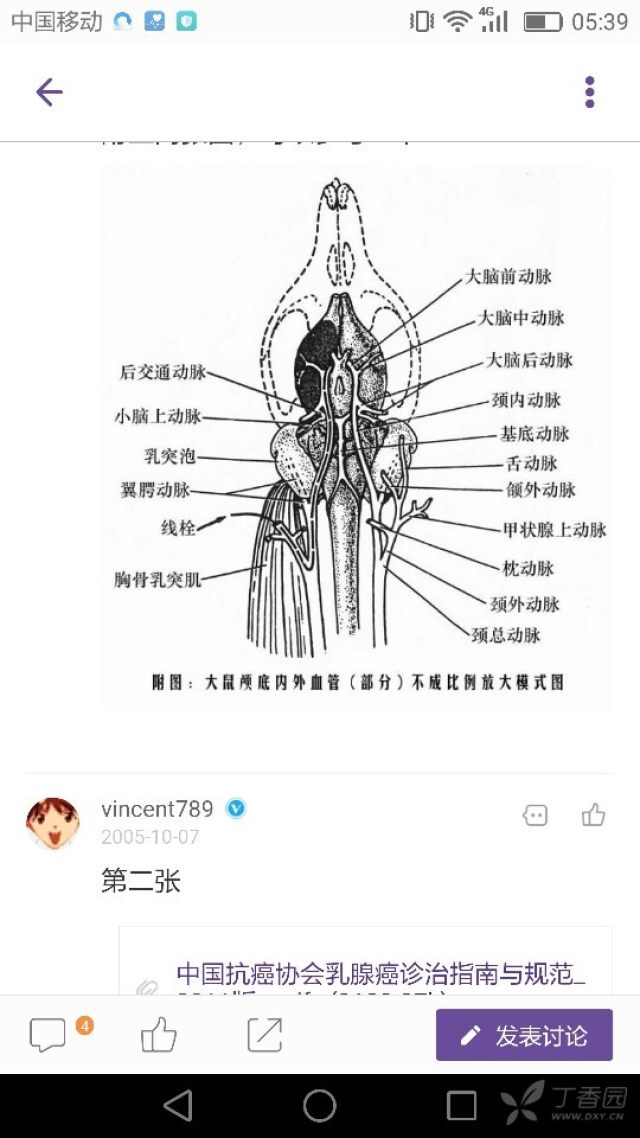 动物科学与动物医学讨论版 资源 我们对颈内动脉和颈外动脉的位置存有