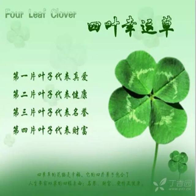 换姓」赢好礼:晒晒你的头像和昵称吧～1天前     丁香园头像是四叶草