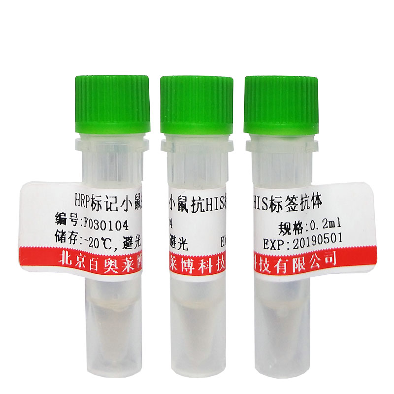 葡萄糖6磷酸酶α/G6Pase-α抗体北京价格