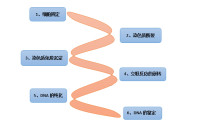 免疫沉淀实验（Immunoprecipitation，IP）