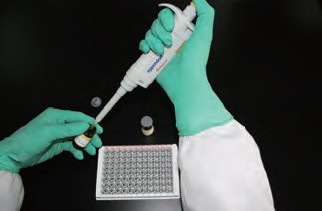 磺胺喹恶啉快速检测试剂盒