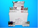 Procollagen Type III n-Terminal Propeptide ELISA Kit, Human