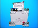 Platelet Derived Growth Factor C ELISA Kit (PDGFC), Human