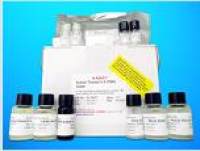 Prostaglandin ELISA Kit (PG), Human