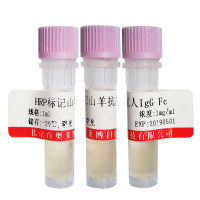 北京TFAR19/PDCD5抗体现货