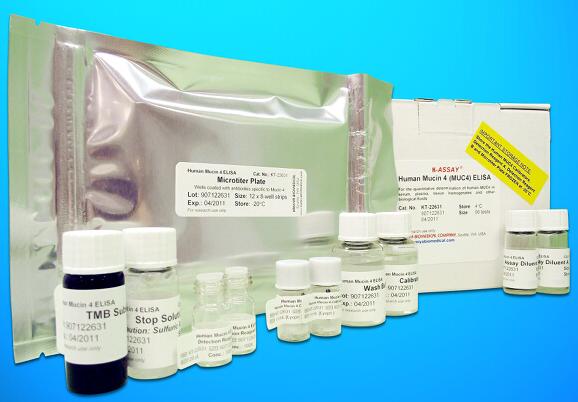 Placental Alkaline Phosphatase ELISA Kit (PLAP), Human