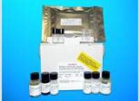 Total Nitric Oxide synthase ELISA Kit, Human