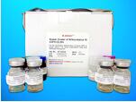 Trimethyllysine dioxygenase, mitochondrial (TMLHE) ELISA Kit, Human
